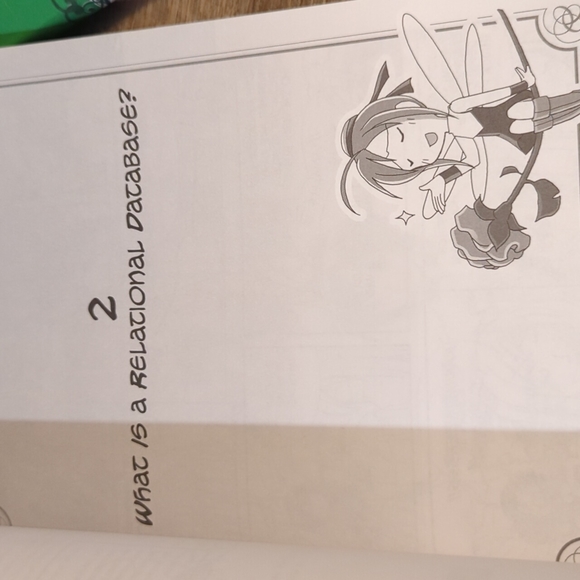 Manga computer book - Picture 11 of 13